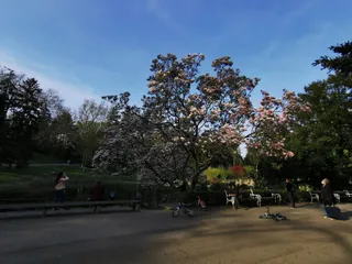 Bergsee im Türkenschanzpark