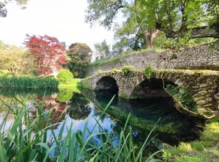 Ninfa
