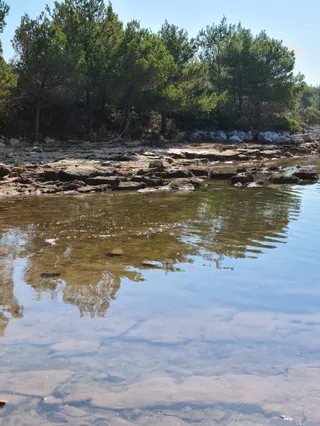 Dog-friendly beach Ugljan