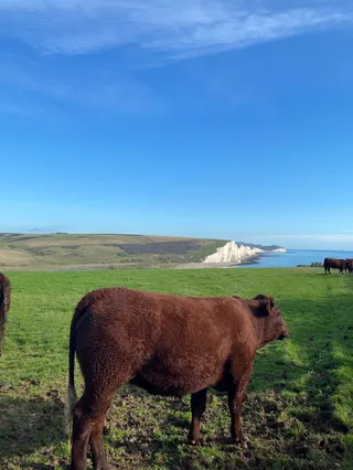 Seven Sisters Cliffs