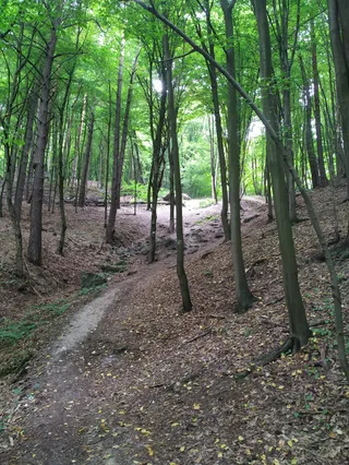Diabelski Kamień