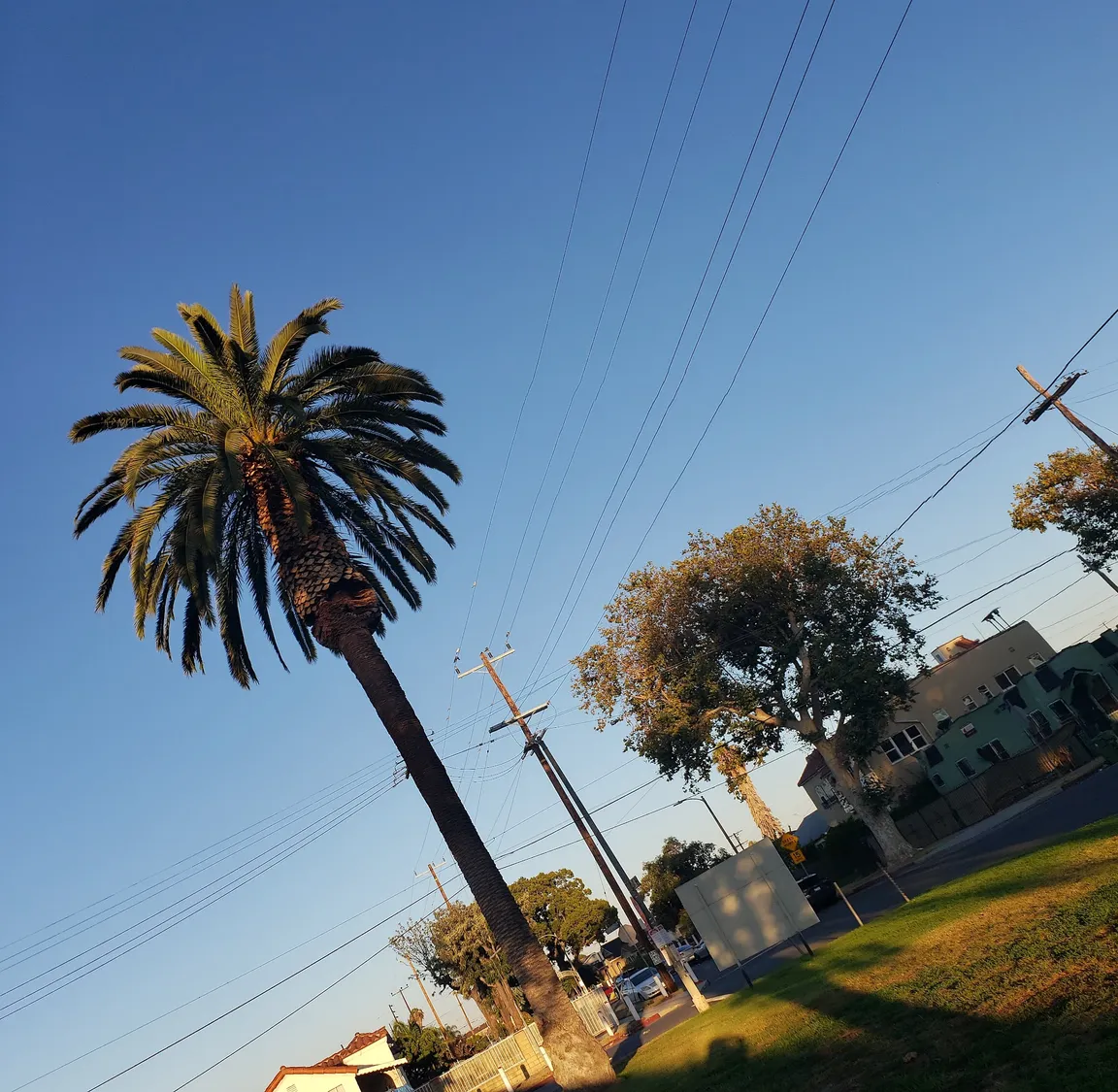 Jackie Tatum Skate Plaza