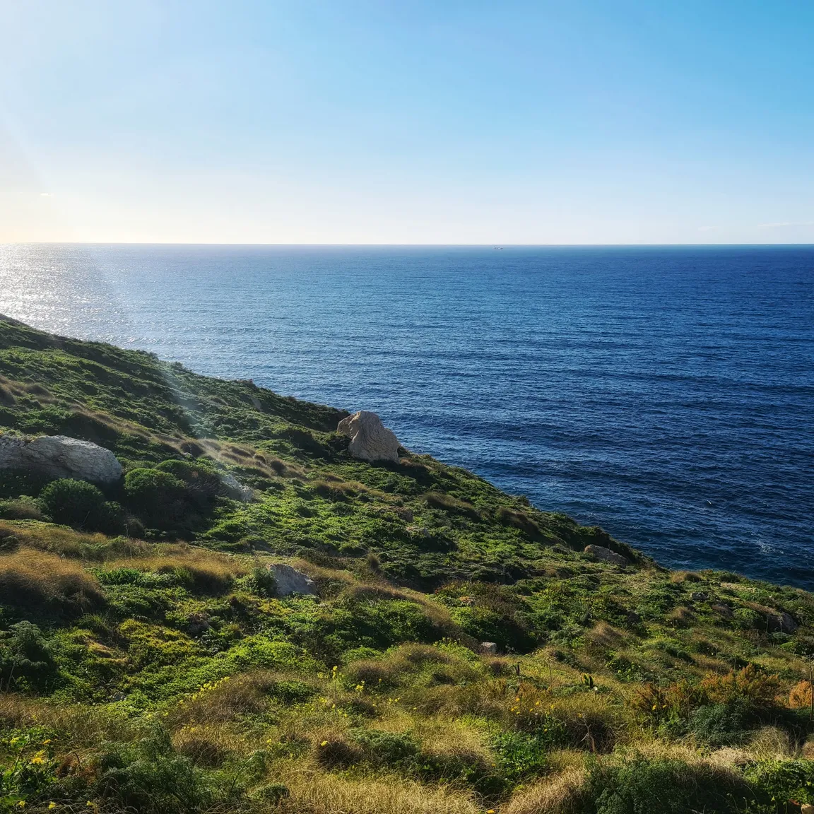 Pullicino's Cove