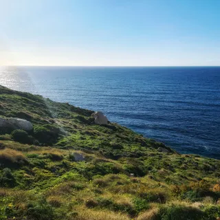 Pullicino's Cove