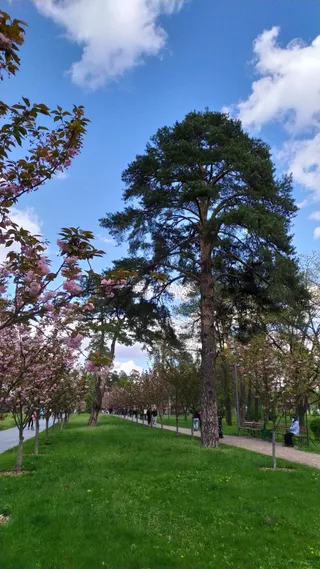 Park Kyoto