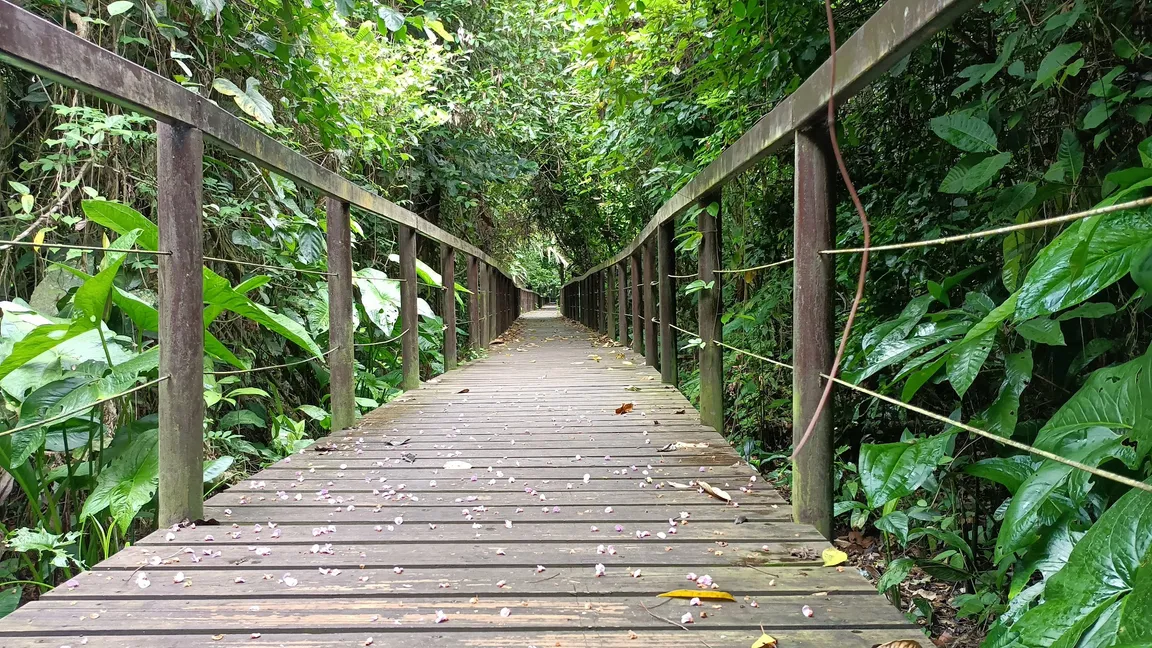 Park Narodowy Cahuita