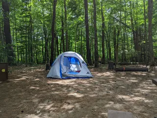 Tolland State Forest