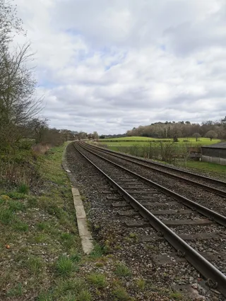 National Trust - Abinger Roughs and Netley Park