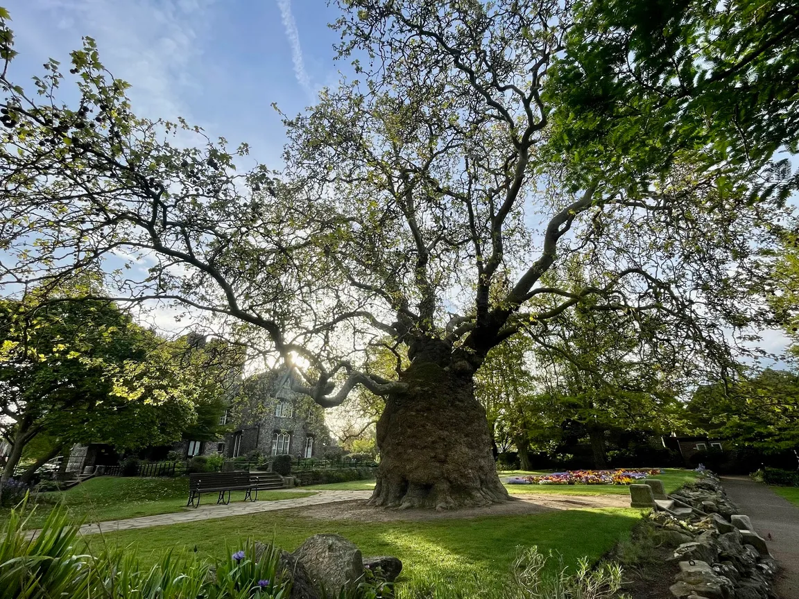 Westgate Gardens