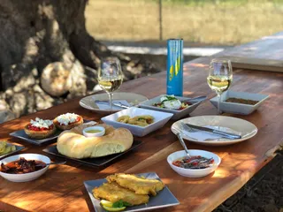 Cretanthos Olive Park & Museum, Tours, Olive Oil & Wine Tasting