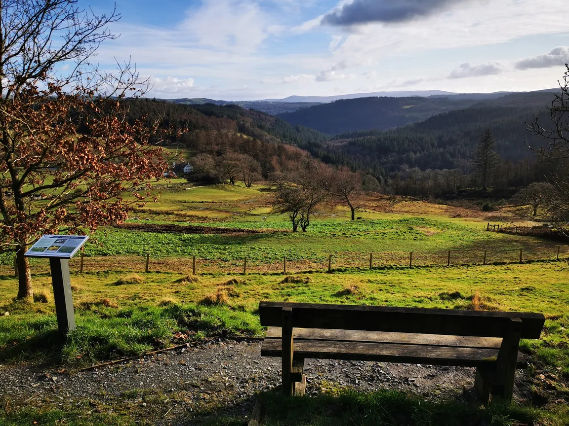 Ty'n Llwyn Walking Trail