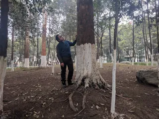 Weiyena Forest Park