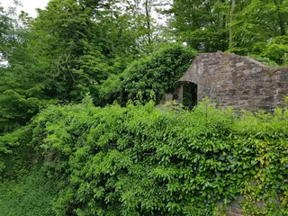Ruine Neue Isenburg