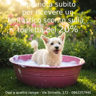 Oasi a Quattro Zampe