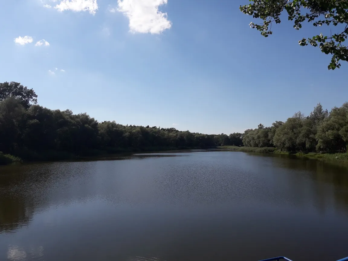 Park Przygód Piaski Szczygliczka