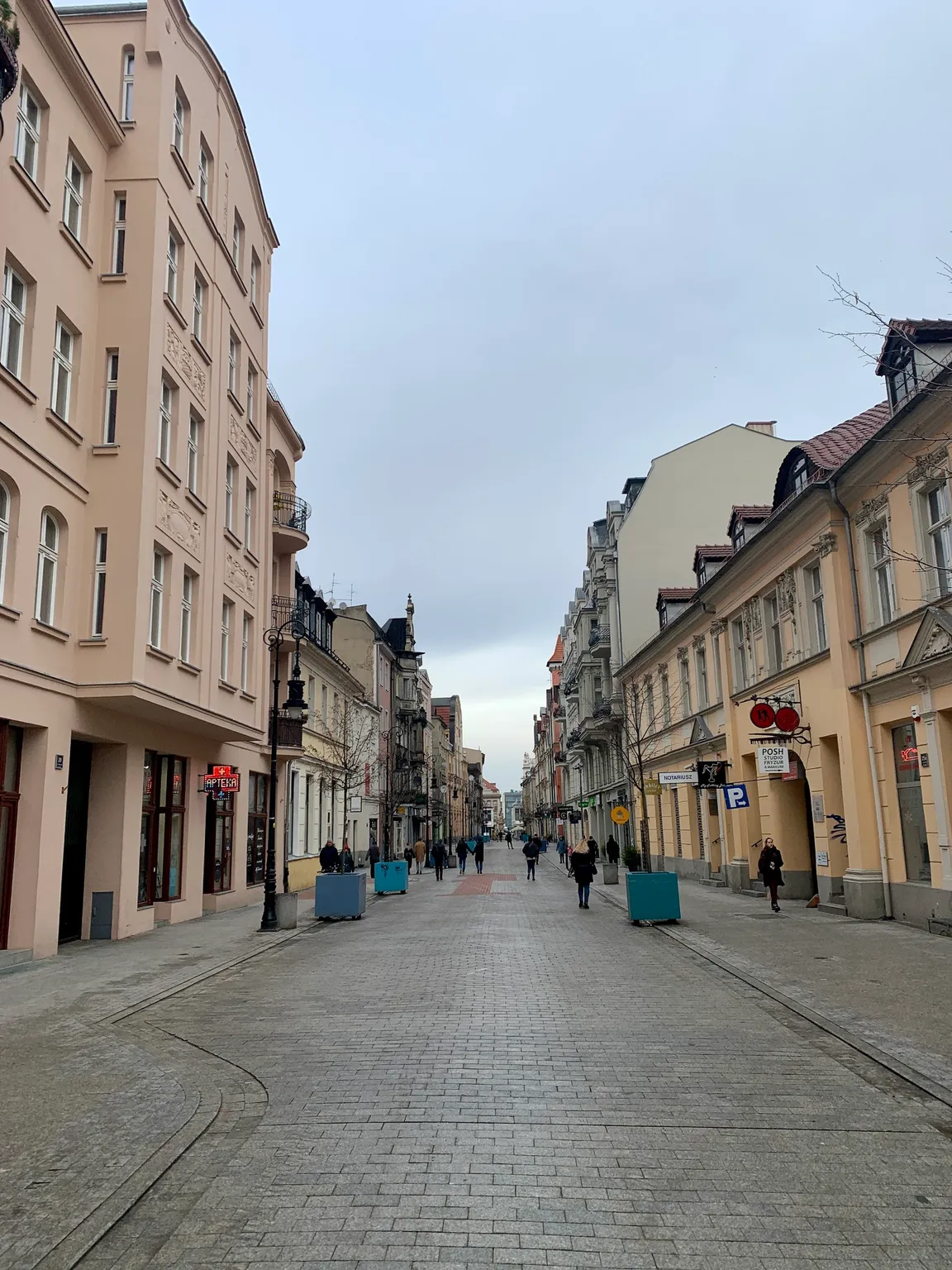 Koziołki Poznańskie