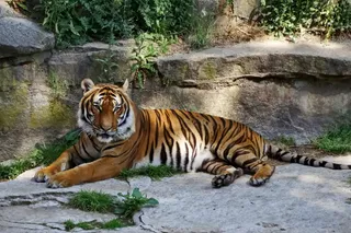 Tierpark Berlin