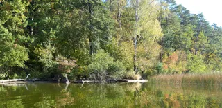 Jezioro Mokre