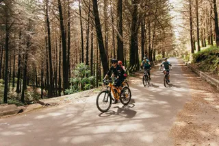 Radwall Mountain Bike Madeira - Shuttle, Tours and Bike Holidays