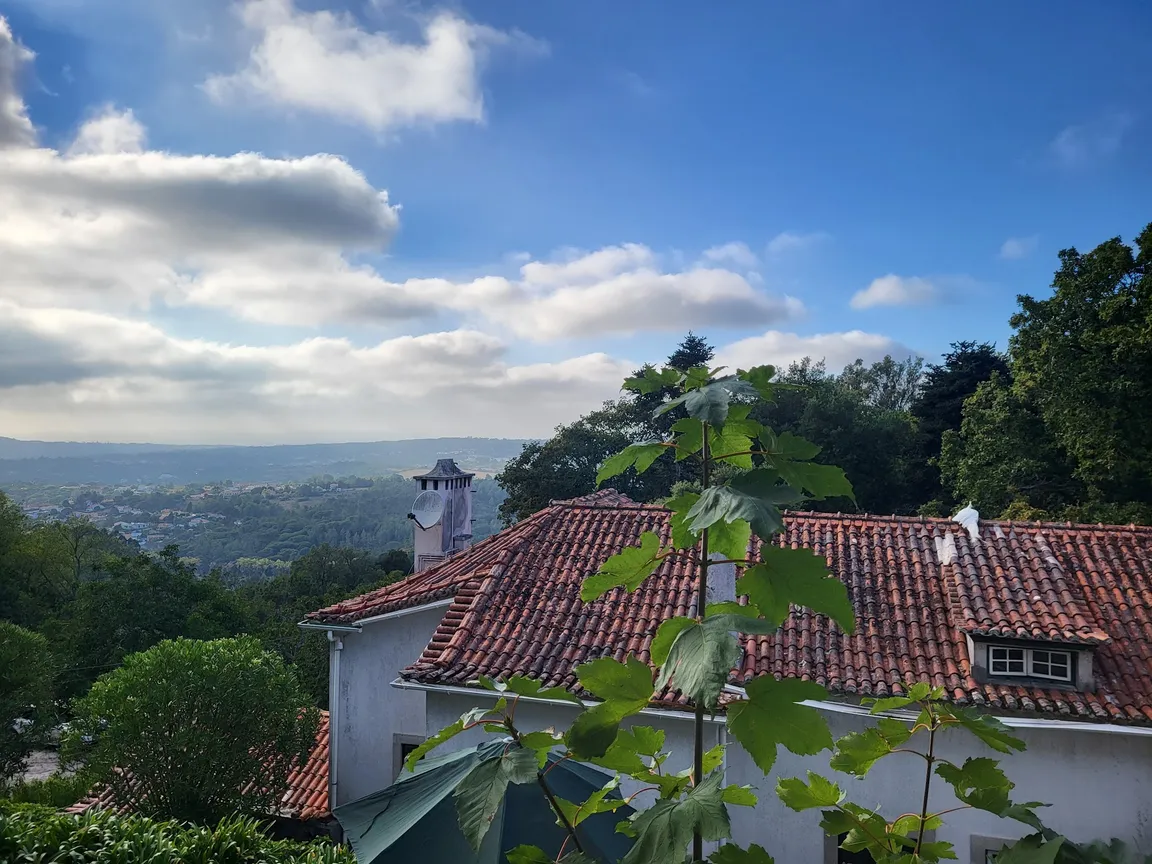 Casa do Fauno