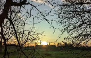 Highfield Country Park