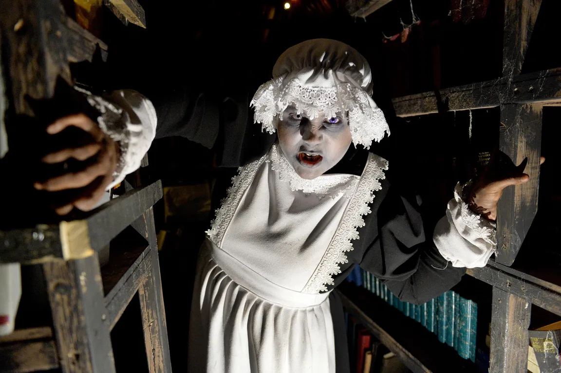 Walsall Scare Maze