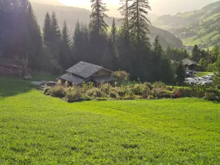 Bergkräutergarten