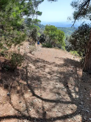 Karvounarka Walking Trail- The Vavatsinia Honeybee Trail - ‘The Humming of the Bees’ (start)