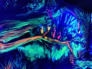 GlowZone Schwarzlicht 4D Minigolf Düsseldorf