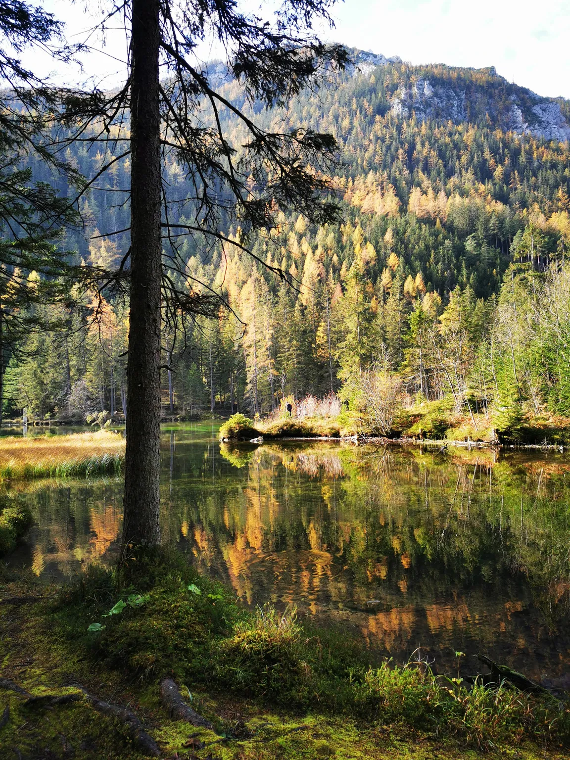 Grüner See