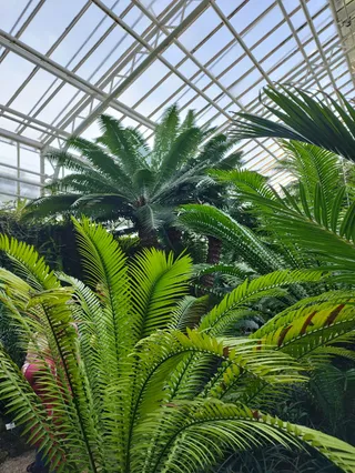 Botanical Garden Munich-Nymphenburg