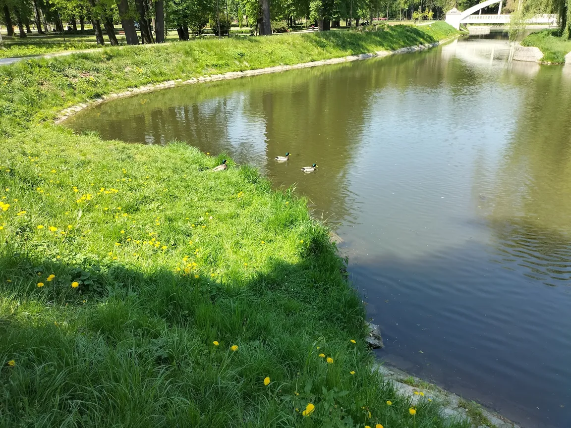 Plac Zabaw