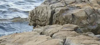 Cuvi Beach