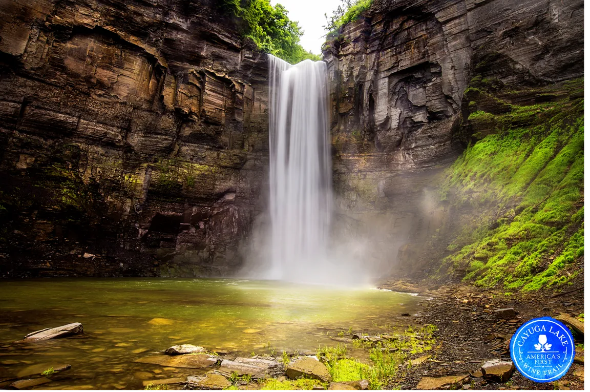 Cayuga Lake Wine Trail
