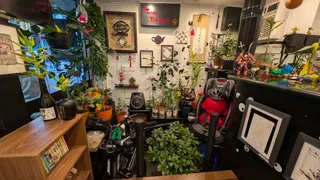 Teado Tea Shop