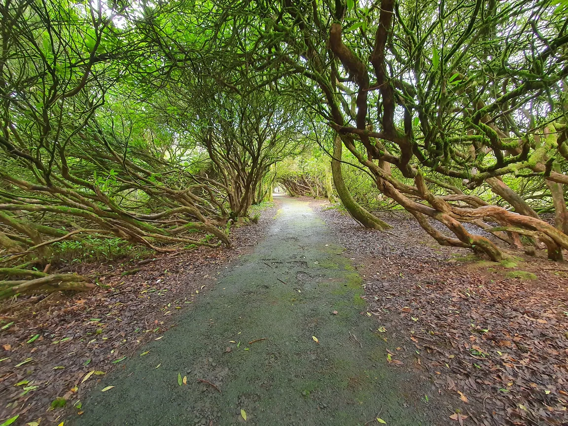 Craig-y-Nos Country Park