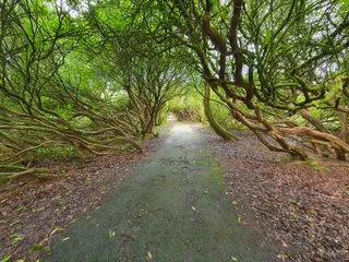 Craig-y-Nos Country Park