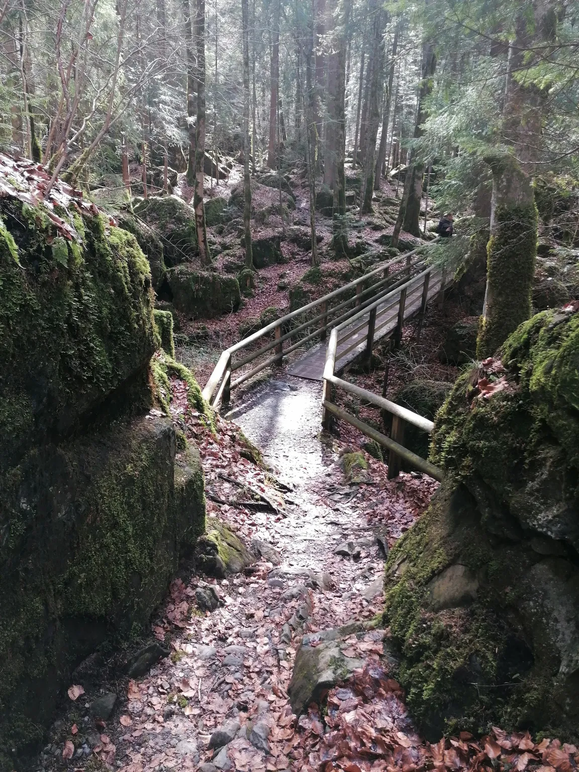 Naturpark Blausee