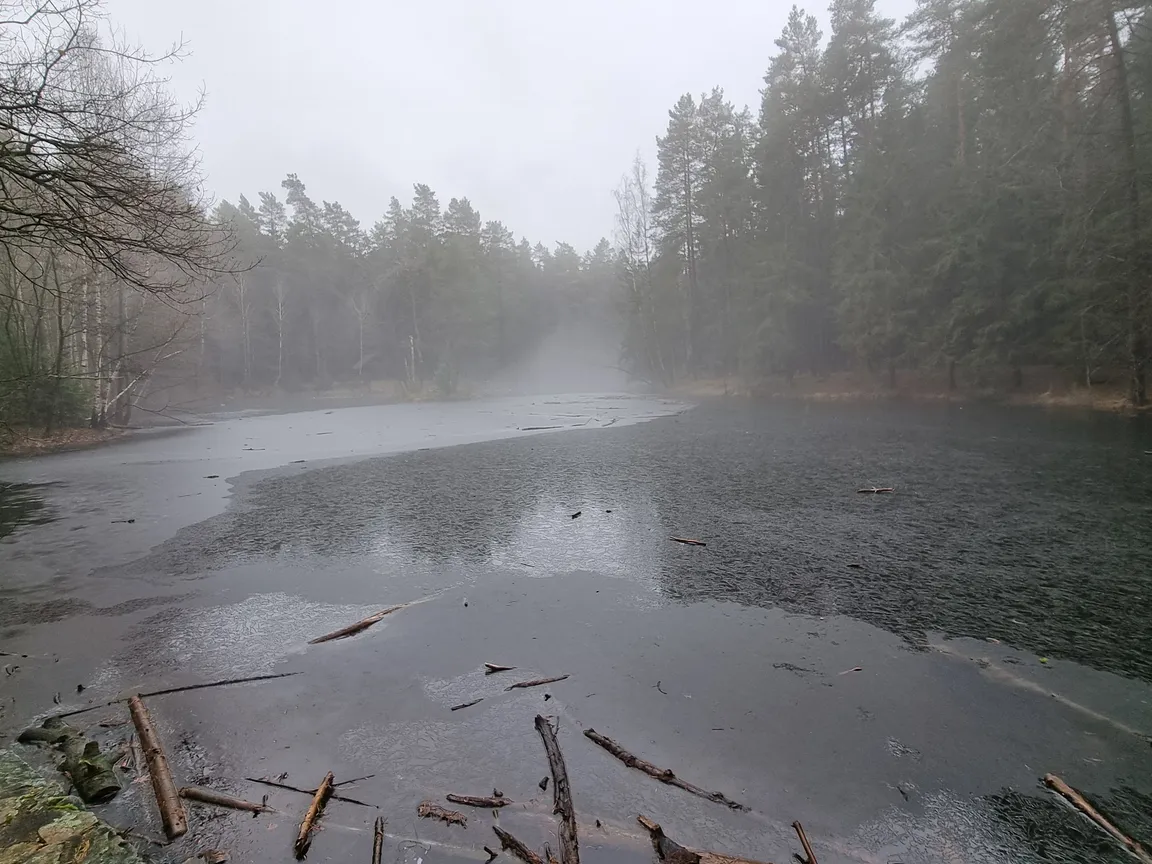 Stausee Dresdner Heide