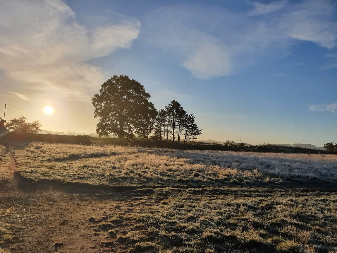 Petersfield Heath & Pond/Lake