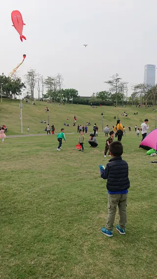 Shenzhen Bay Park Sunrise Theatre