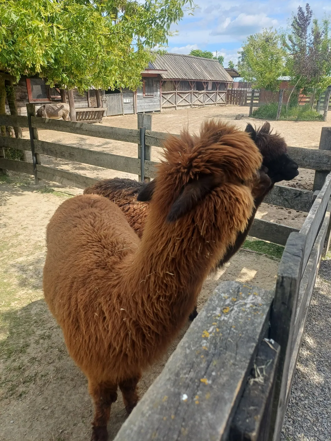 Zoo Wojciechów
