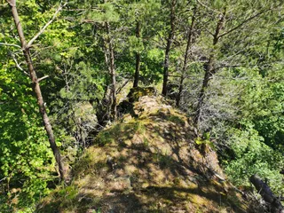 Falkenstein Castle Ruins
