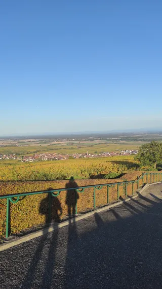 Grands Crus - Sentier Viticole
