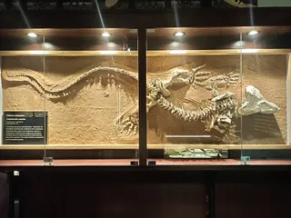 Muzeum Ewolucji w PKiN