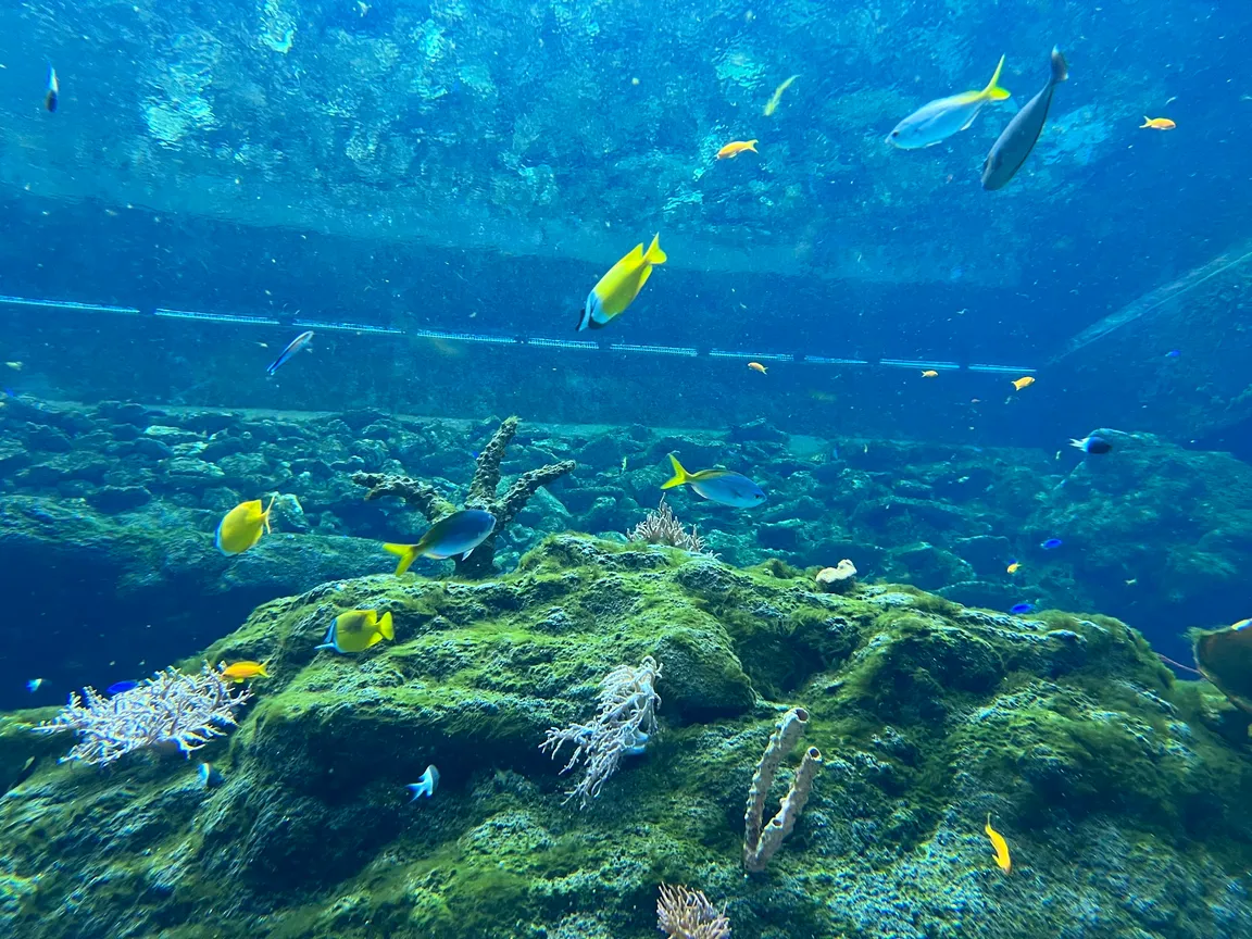 Orientarium ZOO Łódź
