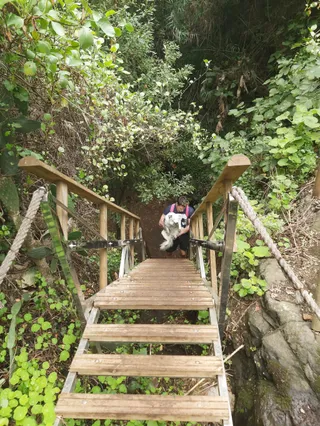 Sendero del Álamo