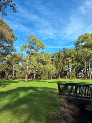 The Paddocks Wetlands