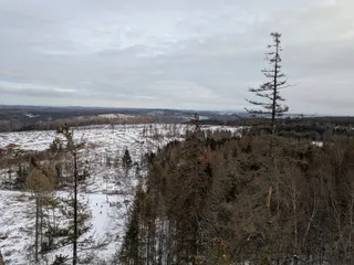 Ottofelsen