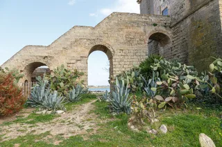 Torre Colimena